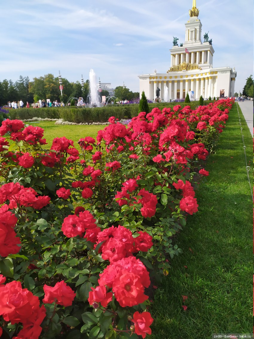 вднха