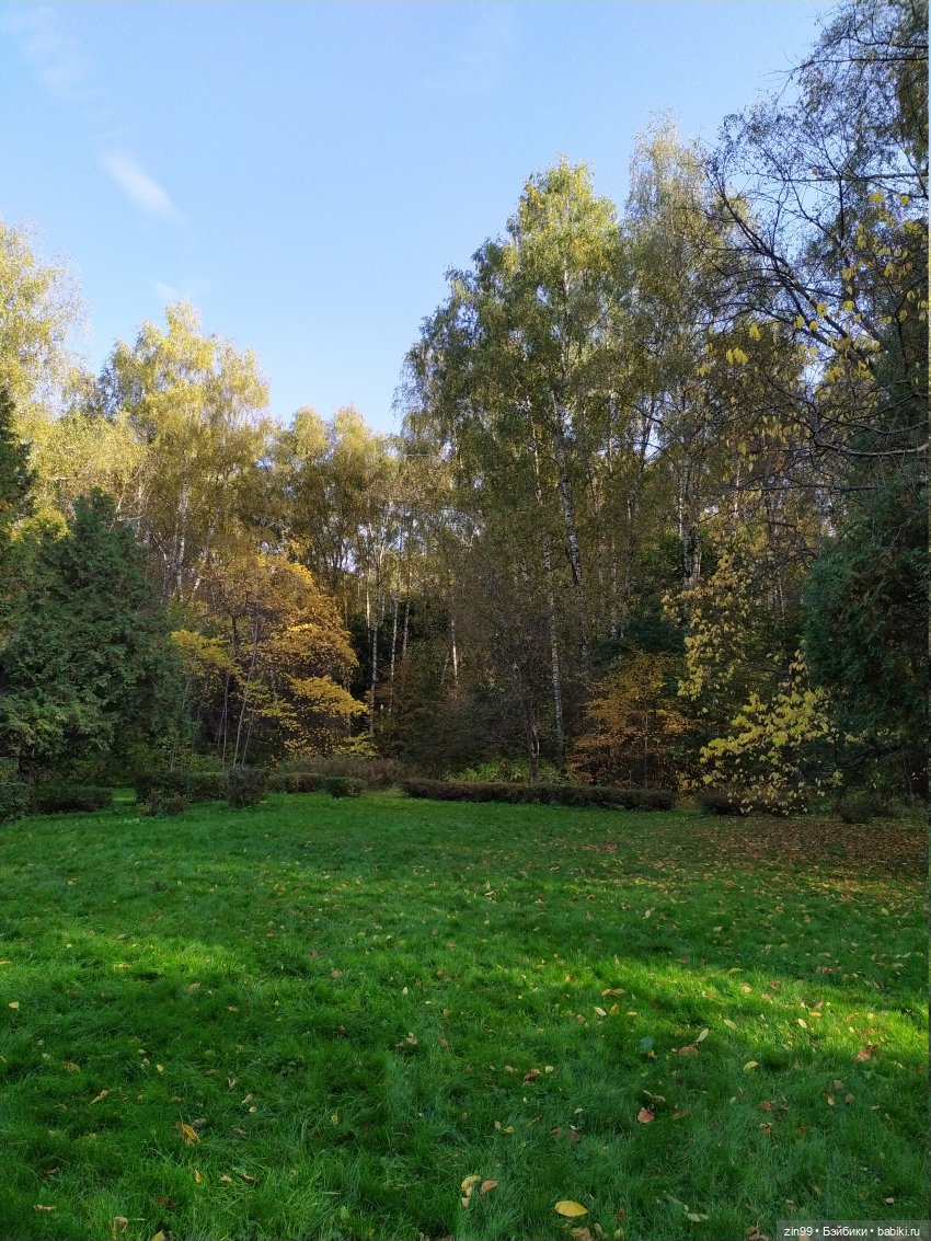 Сave club рокель и тайразавр (фото 9)