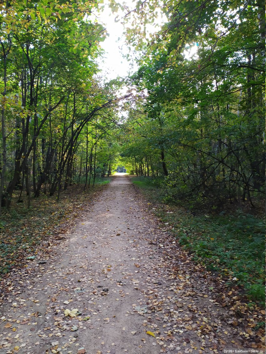 Сave club рокель и тайразавр