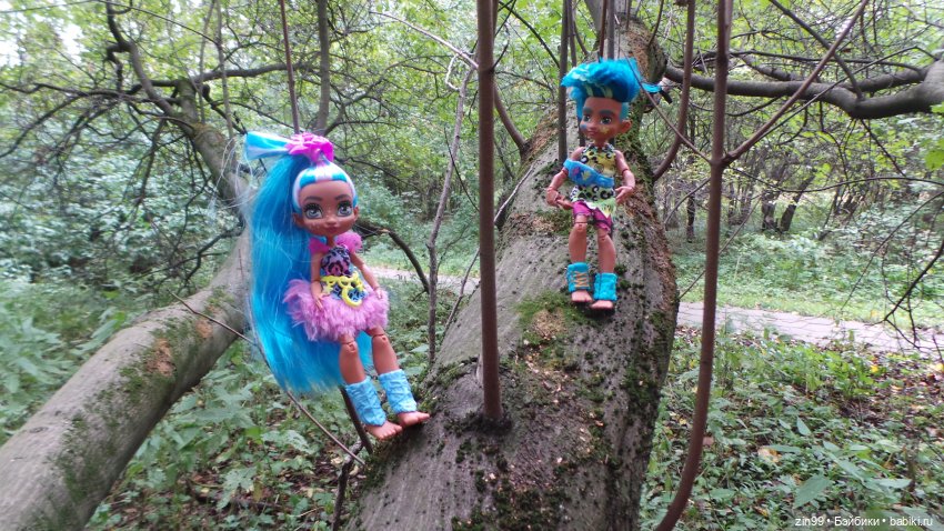 Сave club рокель и тайразавр