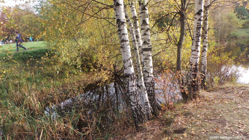 Девочка и Осень 2020 — Куклы Kidz'n'Cats (Соня Хартман): шарнирные 46 см (фото 5)