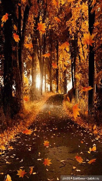 Девочка и Осень 2020 — Куклы Kidz'n'Cats (Соня Хартман): шарнирные 46 см (фото 3)