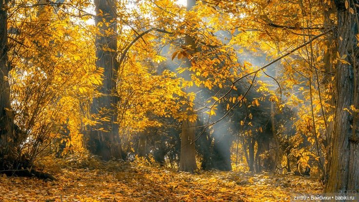 Девочка и Осень 2020 — Куклы Kidz'n'Cats (Соня Хартман): шарнирные 46 см (фото 2)