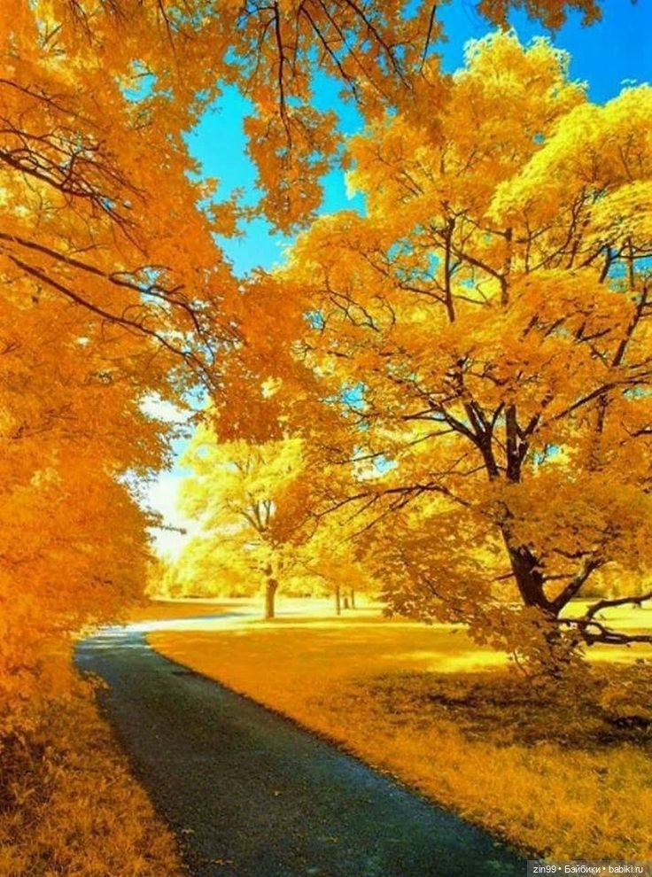 Девочка и Осень 2020 — Куклы Kidz'n'Cats (Соня Хартман): шарнирные 46 см