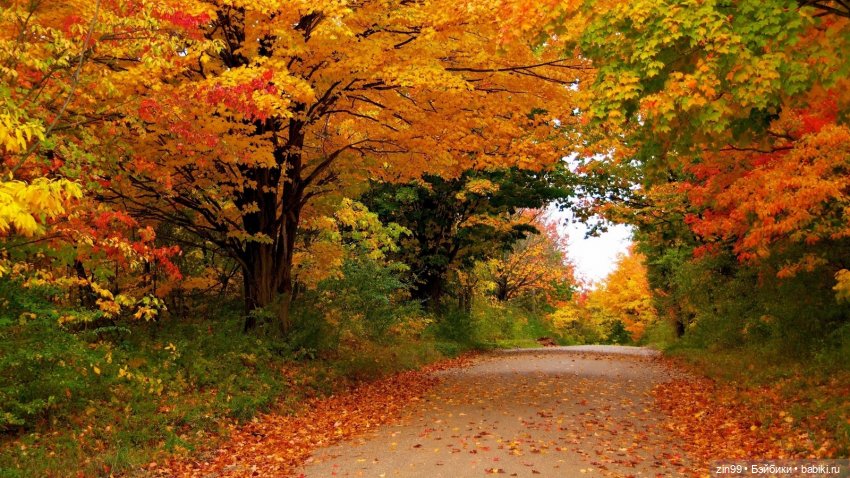 Девочка и Осень 2020 — Куклы Kidz'n'Cats (Соня Хартман): шарнирные 46 см