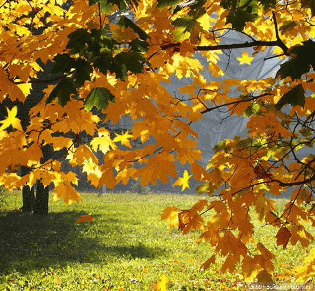 Девочка и Осень 2020 — Куклы Kidz'n'Cats (Соня Хартман): шарнирные 46 см