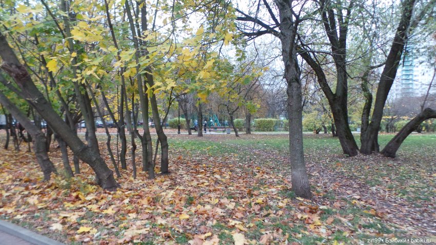 Осень в парке и в моем районе с куклами Kidz'n'Cats