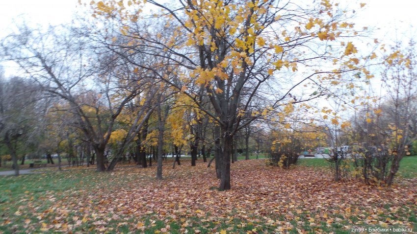 Осень в парке и в моем районе с куклами Kidz'n'Cats