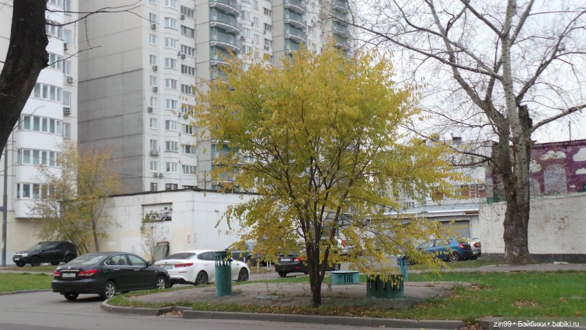 Осень в парке и в моем районе с куклами Kidz'n'Cats