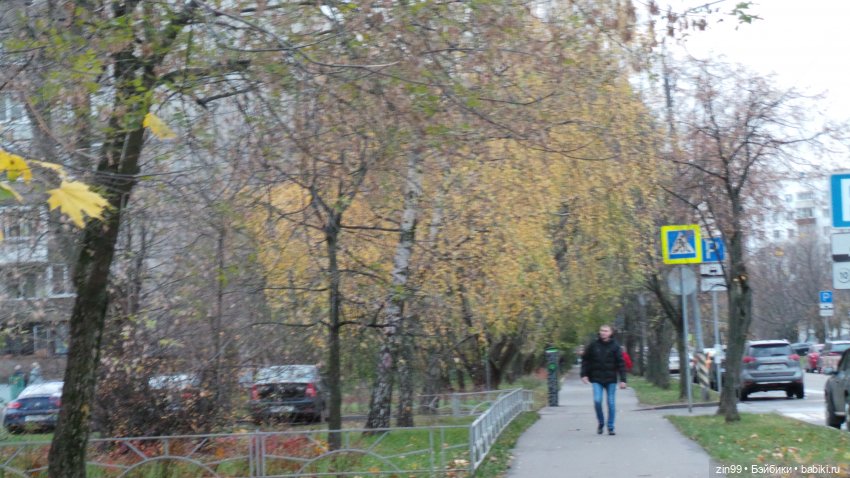 Осень в парке и в моем районе с куклами Kidz'n'Cats