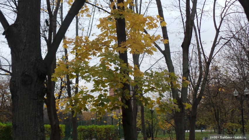 Осень в парке и в моем районе с куклами Kidz'n'Cats