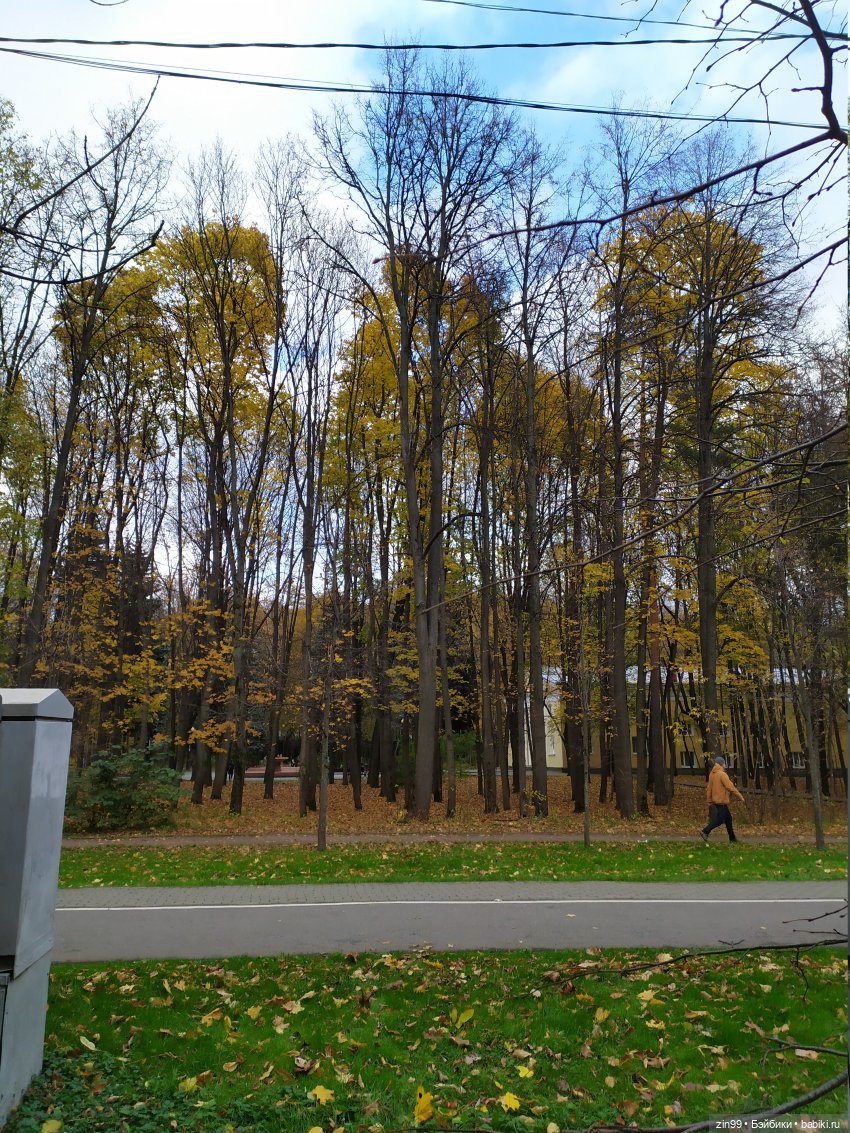 Осень в парке и в моем районе с куклами Kidz'n'Cats