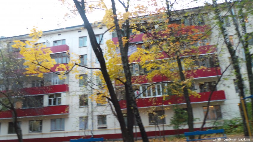 Осень в парке и в моем районе с куклами Kidz'n'Cats