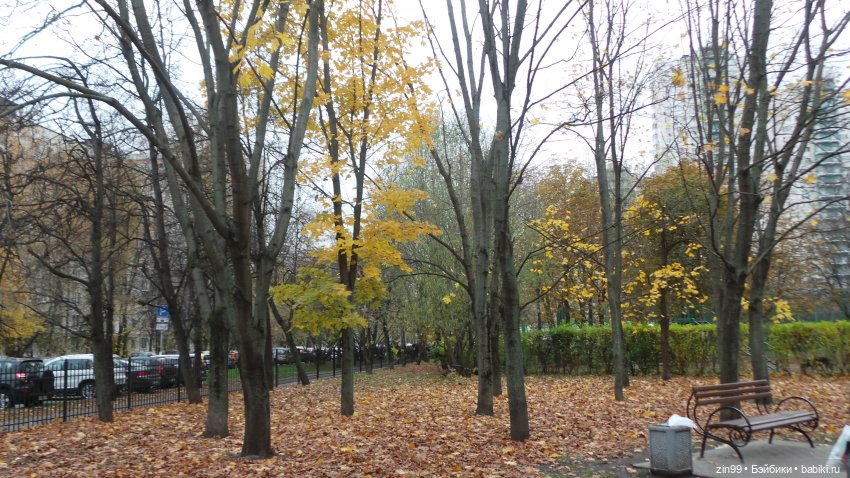 Осень в парке и в моем районе с куклами Kidz'n'Cats