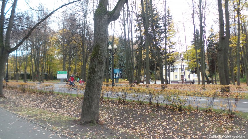 Осень в парке и в моем районе с куклами Kidz'n'Cats