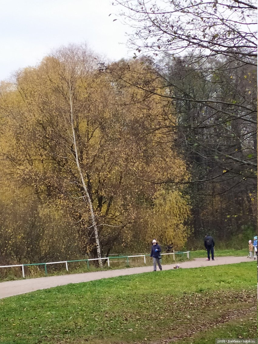 Терлецкие пруды, прогулка красивых девочек