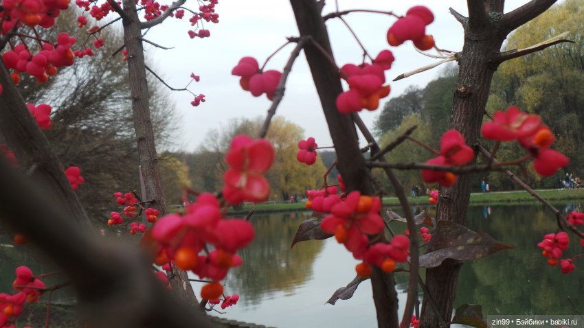 Терлецкие пруды, прогулка красивых девочек