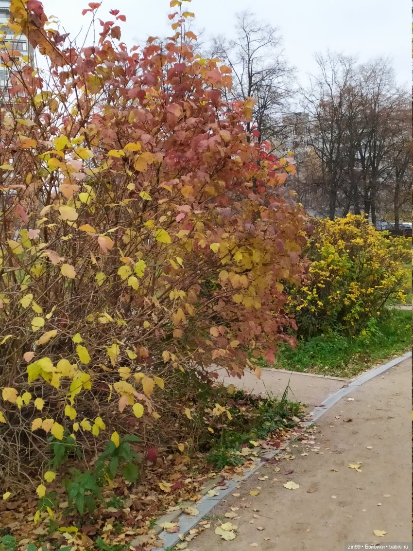 Терлецкие пруды, прогулка красивых девочек