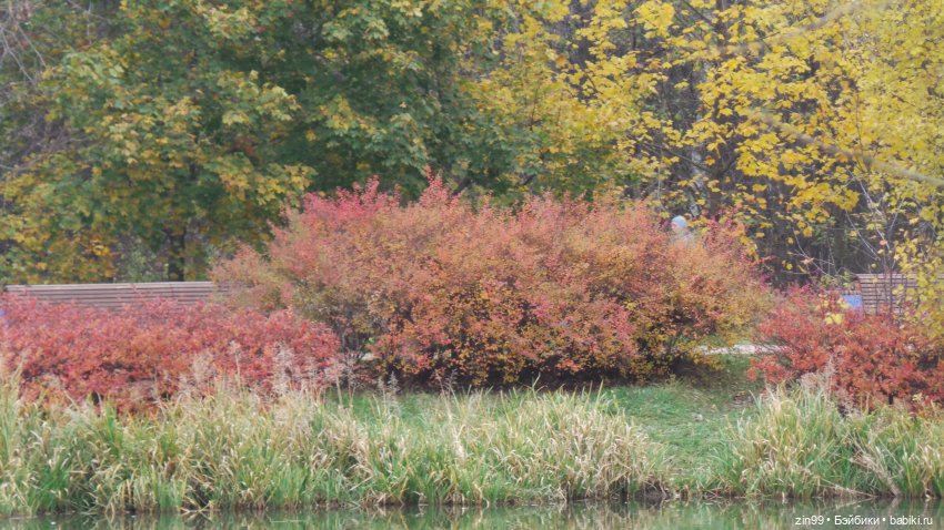 Терлецкие пруды, прогулка красивых девочек