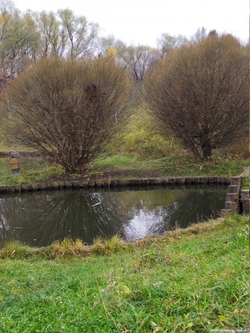 Терлецкие пруды, прогулка красивых девочек