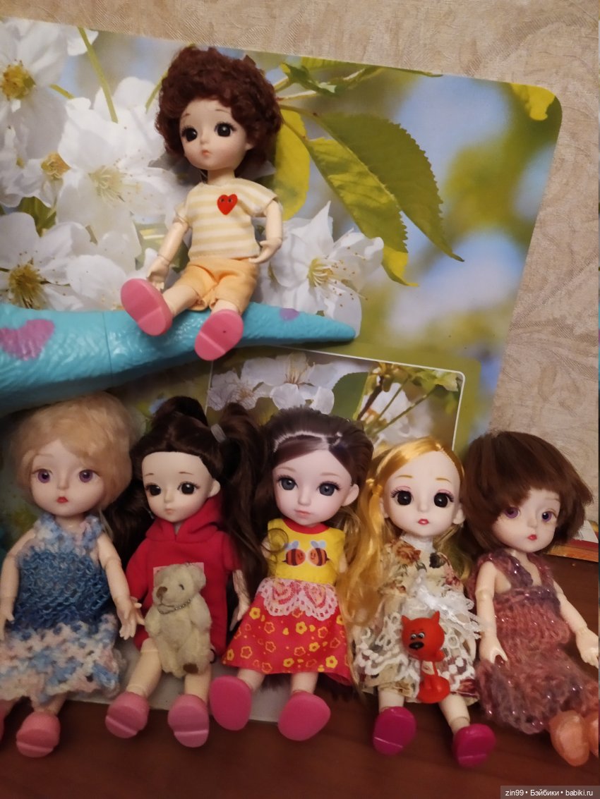 Баболи, приехали новенькие, пополнение