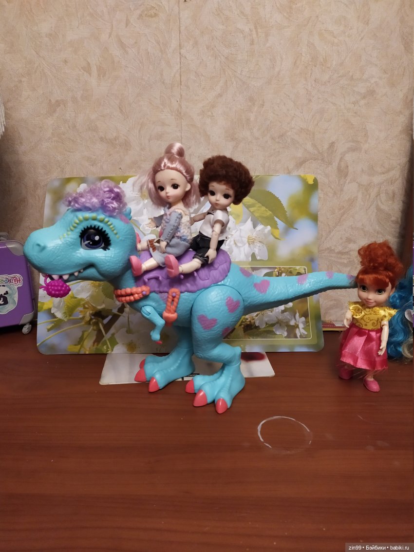 Баболи, приехали новенькие, пополнение