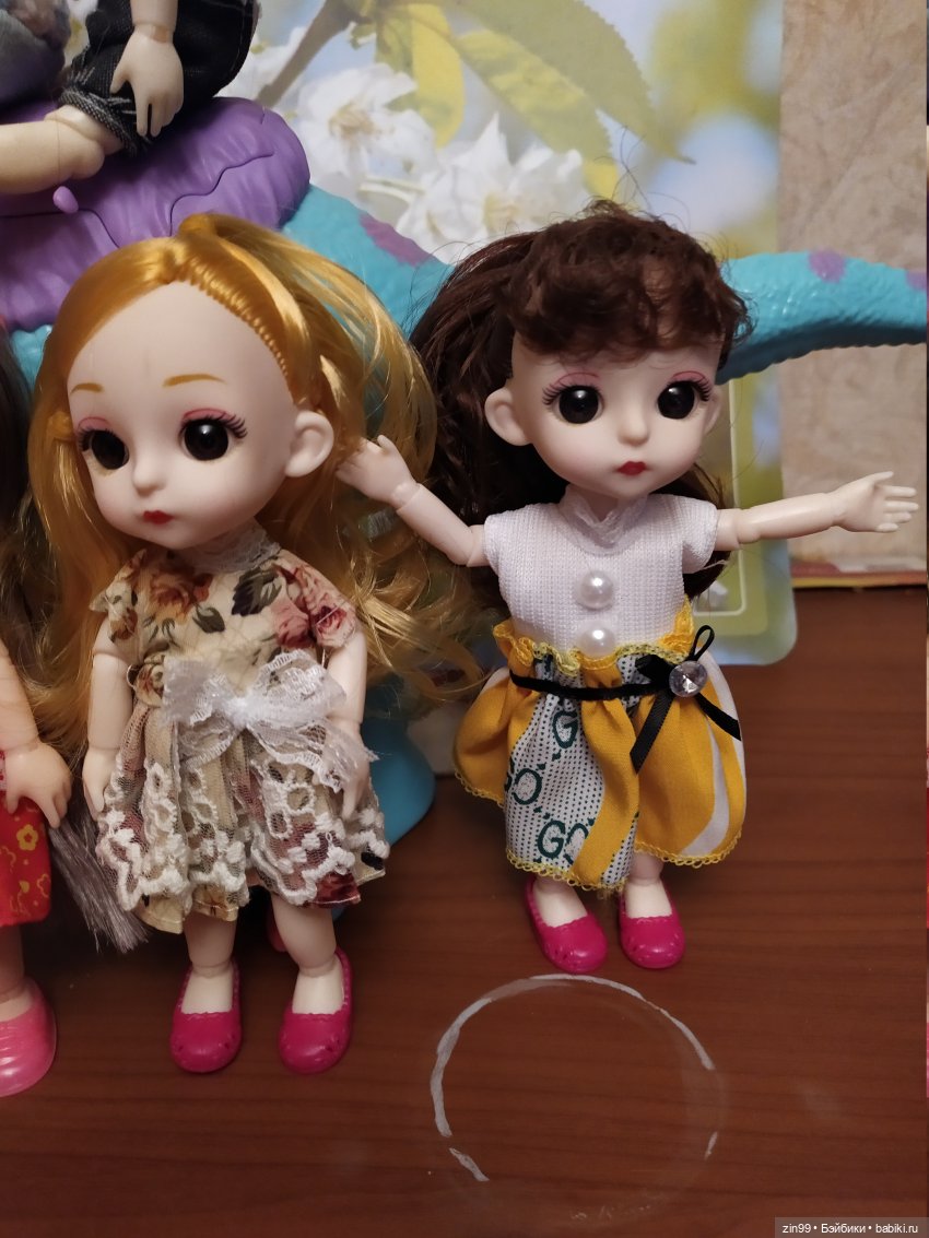 Баболи, приехали новенькие, пополнение