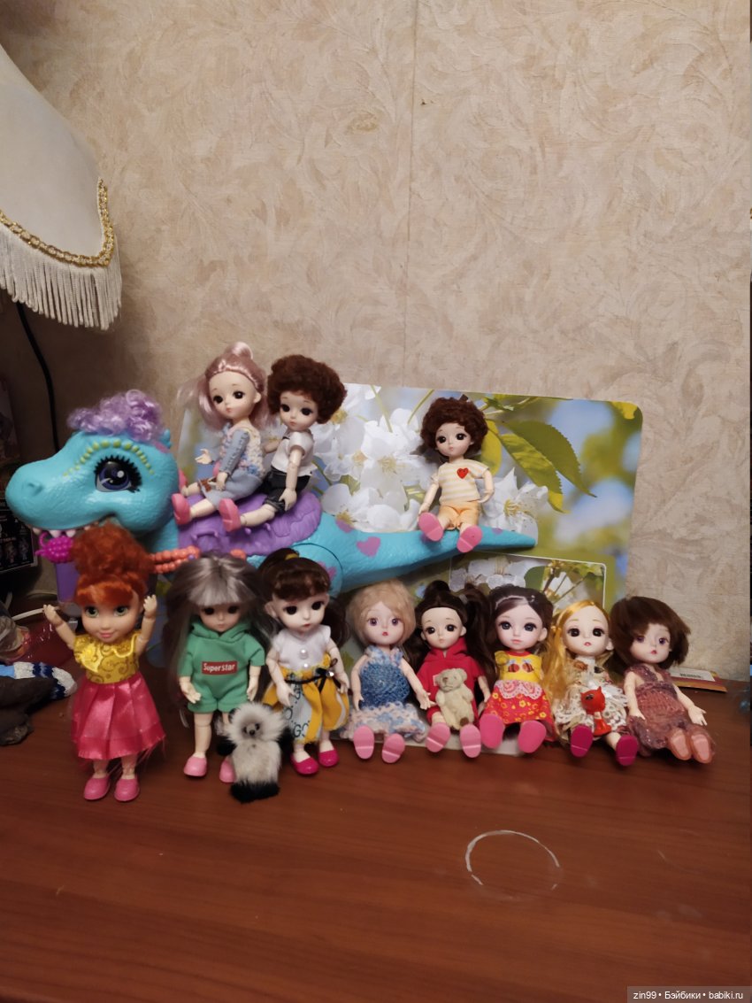 Баболи, приехали новенькие, пополнение