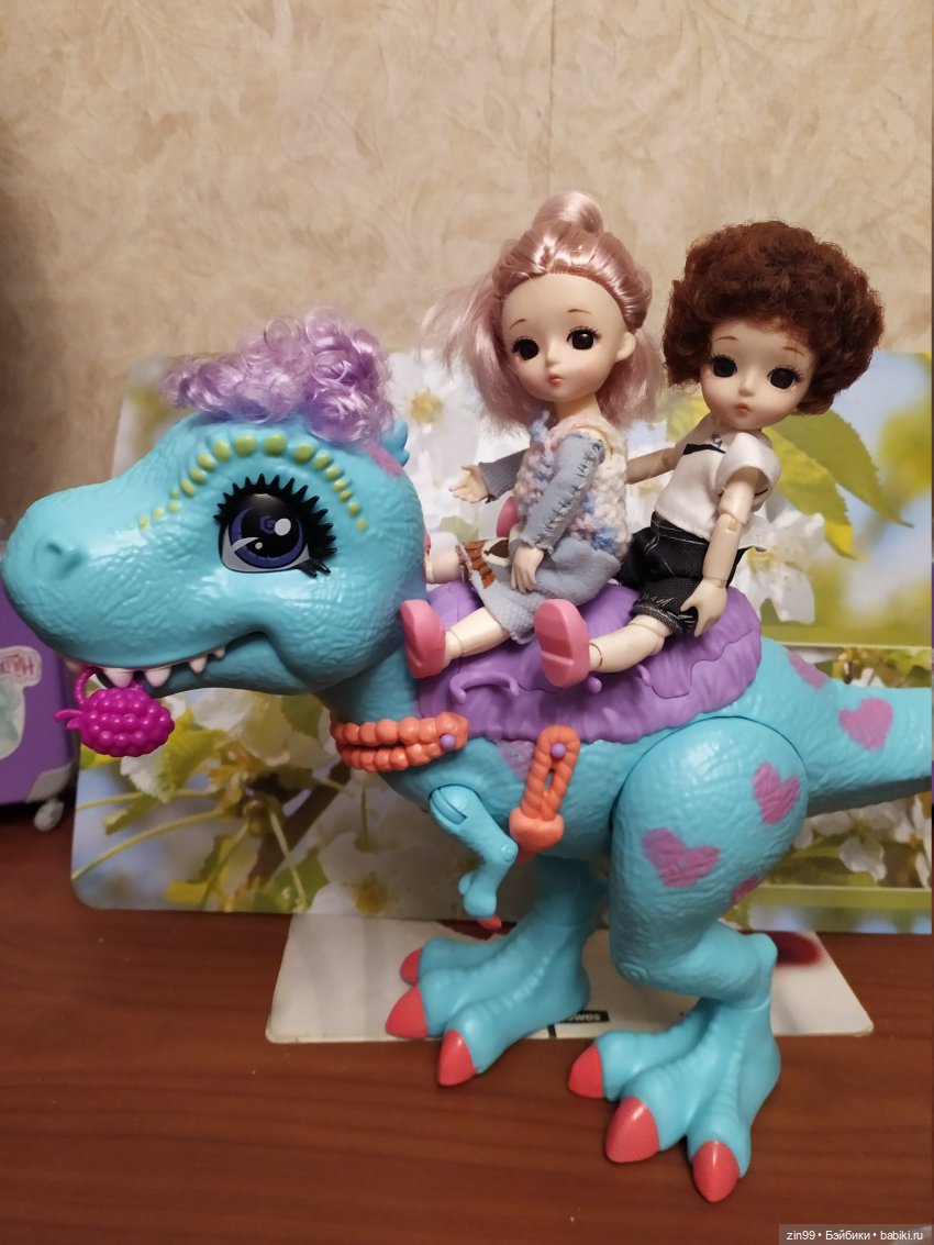 Баболи, приехали новенькие, пополнение