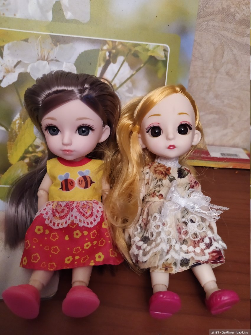 Баболи, приехали новенькие, пополнение