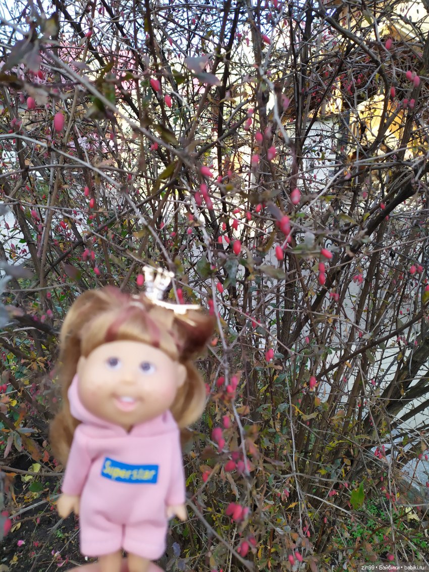 Прогулка на Вернисаж и небольшой улов