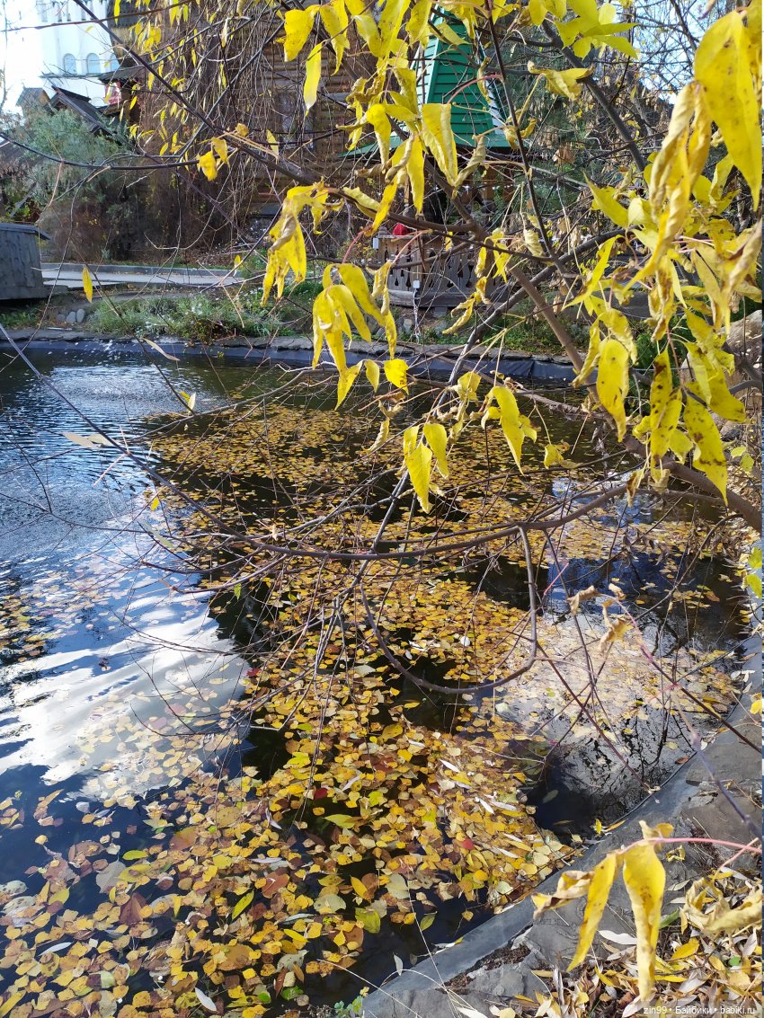 Прогулка на Вернисаж и небольшой улов
