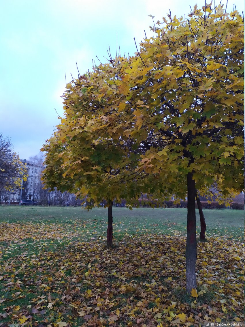 Rainbow High радужные куклы! Приезд Санни