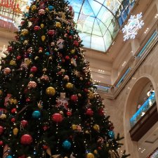 Преддверии Нового года прогулка по Центральному детскому магазину