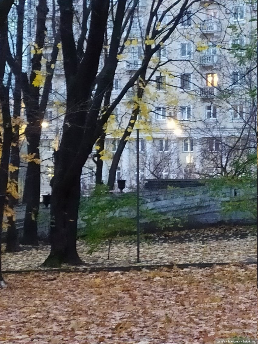 Усадьба на Курской или Центр спортивной медицины и капустка