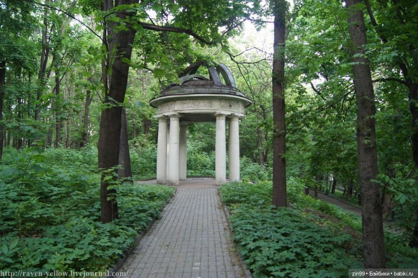 Усадьба на Курской или Центр спортивной медицины и капустка (фото 3)