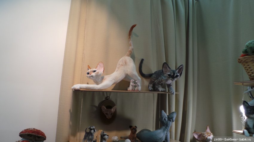 Выставка в Гостином дворе "Искусство куклы"! с 19 по 22 февраля 2021 года, часть 3 (фото 6)