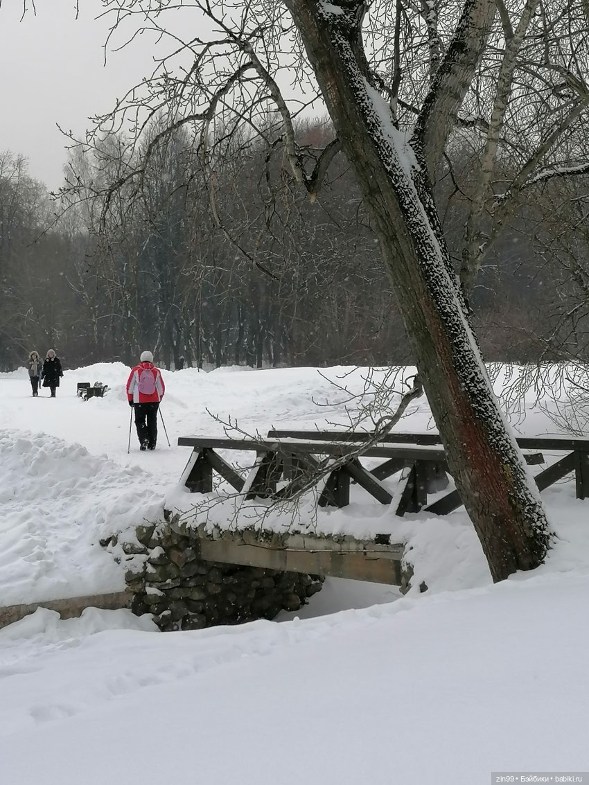 Зимний день в парке с куклами от Дисней Аниматорс (фото 6)