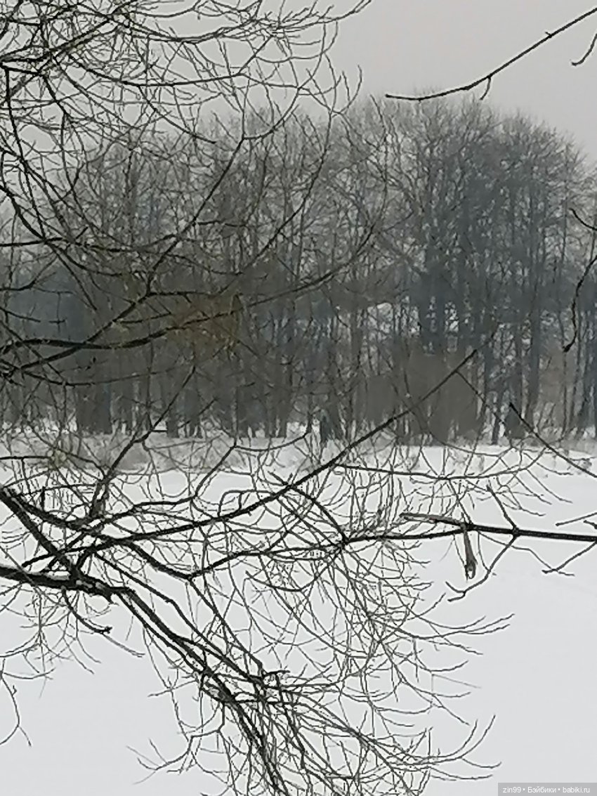 Зимний день в парке с куклами от Дисней Аниматорс (фото 5)