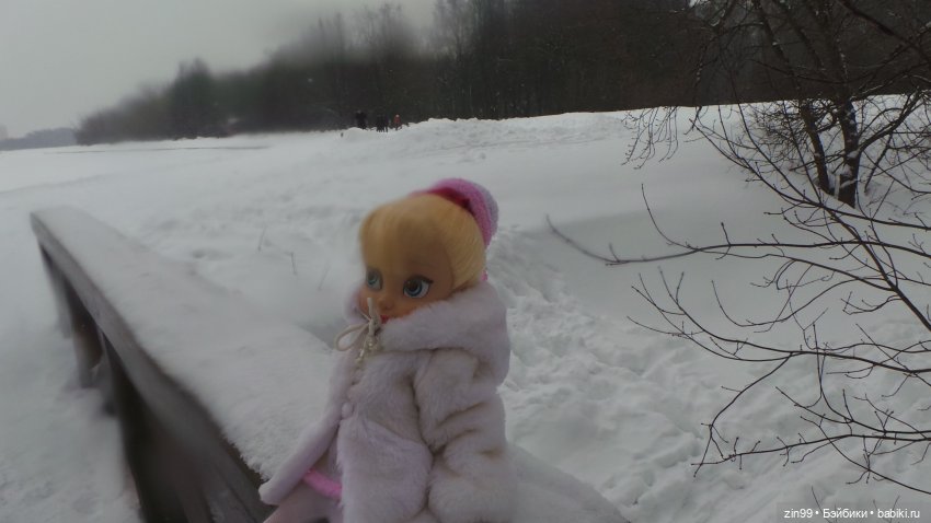 Зимний день в парке с куклами от Дисней Аниматорс