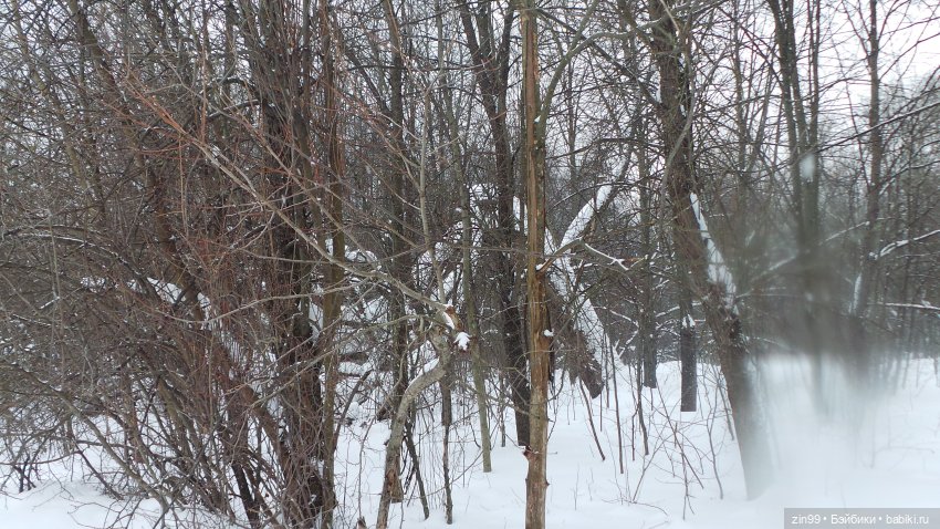 Зимний день в парке с куклами от Дисней Аниматорс