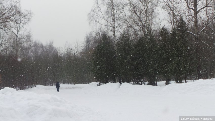 Зимний день в парке с куклами от Дисней Аниматорс (фото 9)