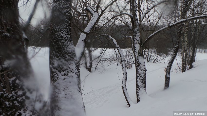 Зимний день в парке с куклами от Дисней Аниматорс
