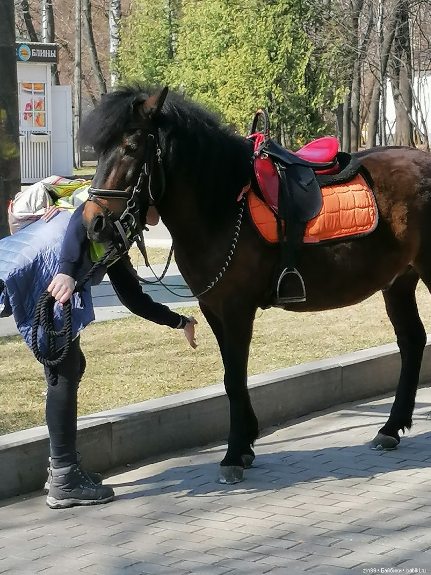 Прогулка в Измайловский парк! И новая кукла