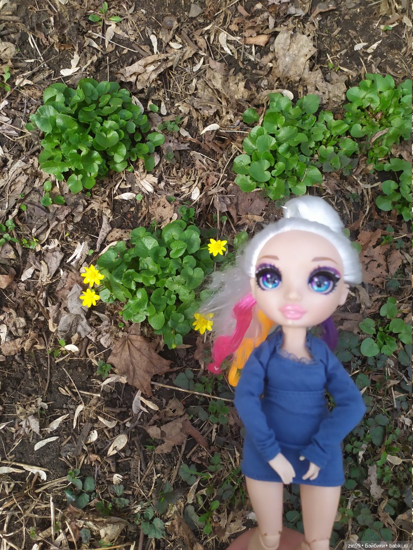 Виолетт и Джоули гуляют! Куклы Reinbow