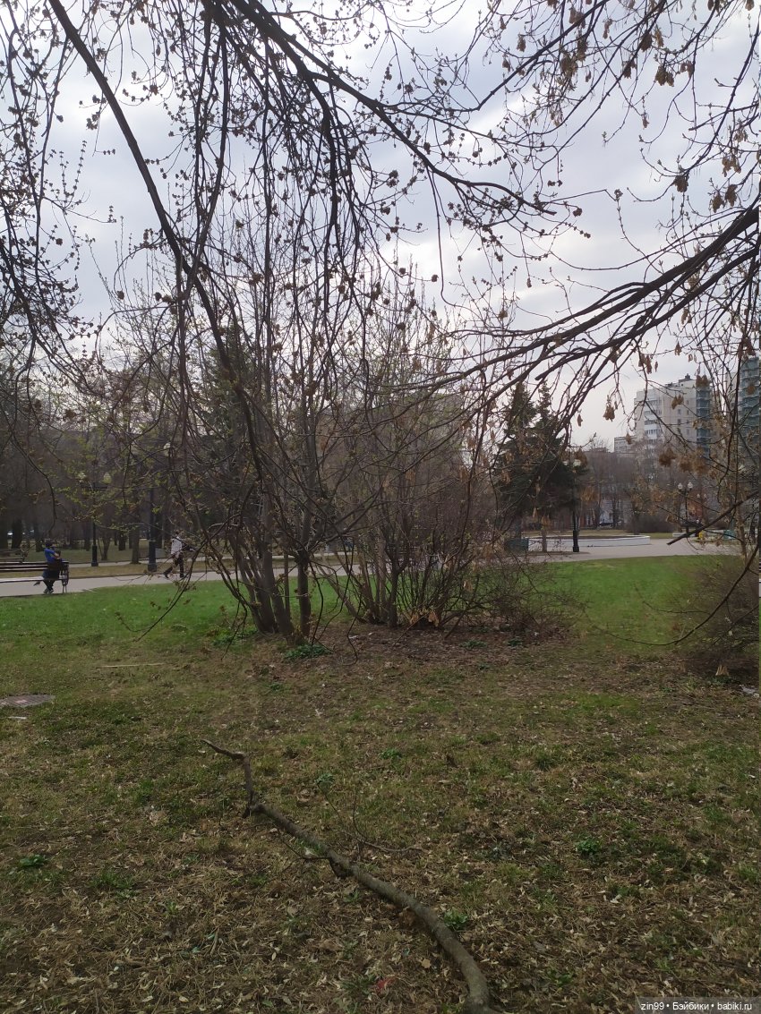 Виолетт и Джоули гуляют! Куклы Reinbow