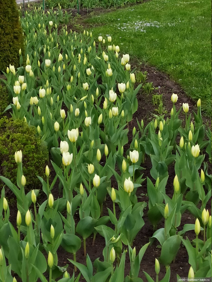 Весна это... это и ВДНХа тоже