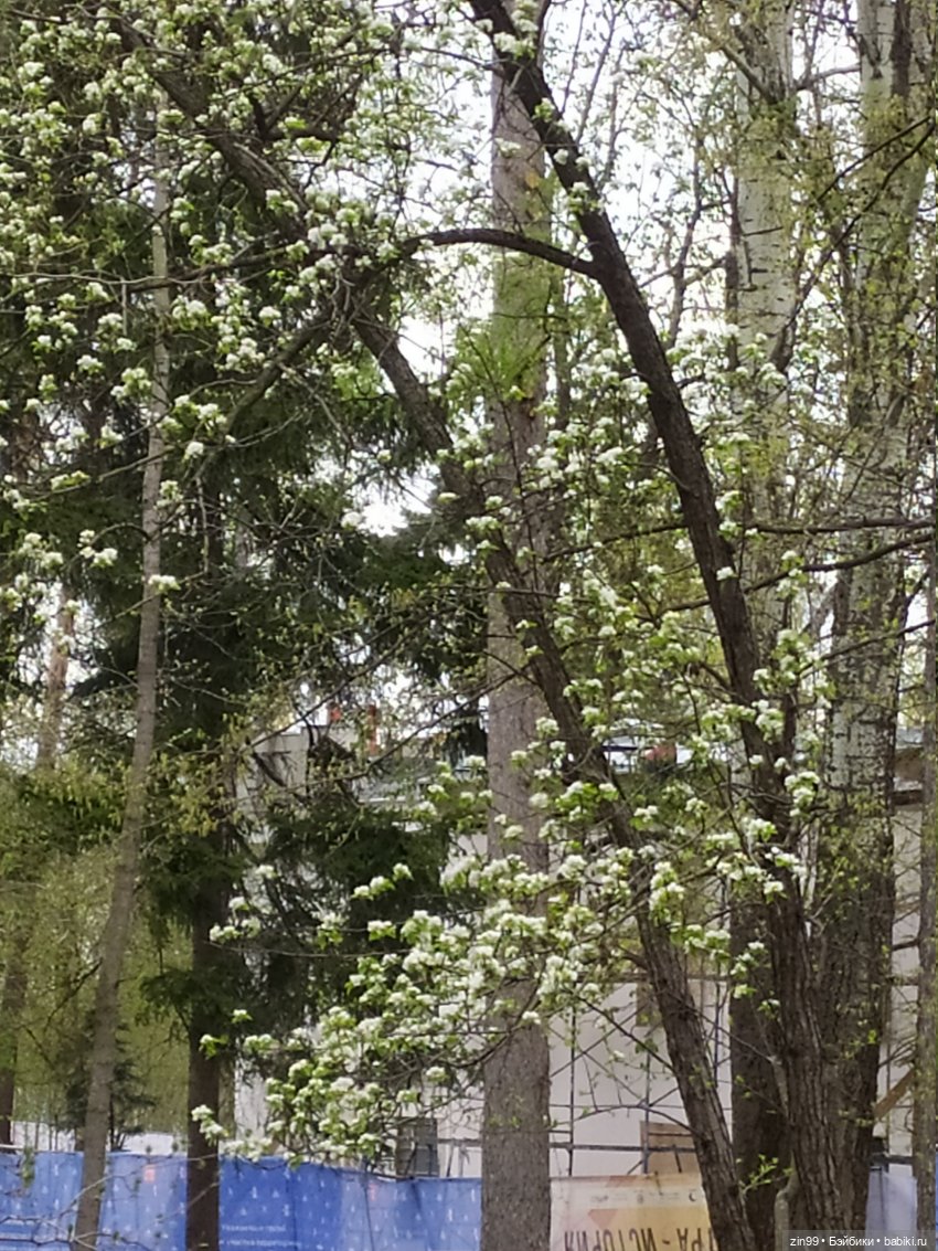 Весна это... это и ВДНХа тоже