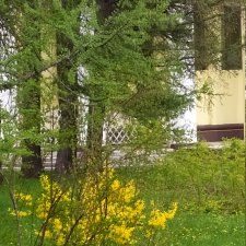 Весна это...  это и ВДНХа тоже