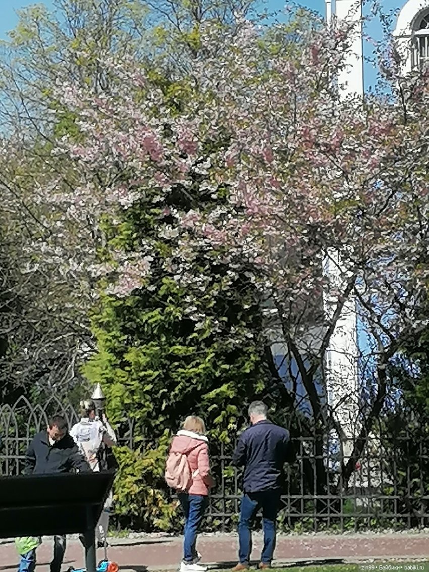 Царицыно, музей заповедник Царицыно с куклой Черепашкой